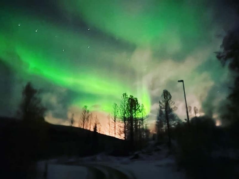 Harstad/Narvik/Tjeldsund: Northern Lights Sightseeing by Car - Why a private car makes sense in the far north
