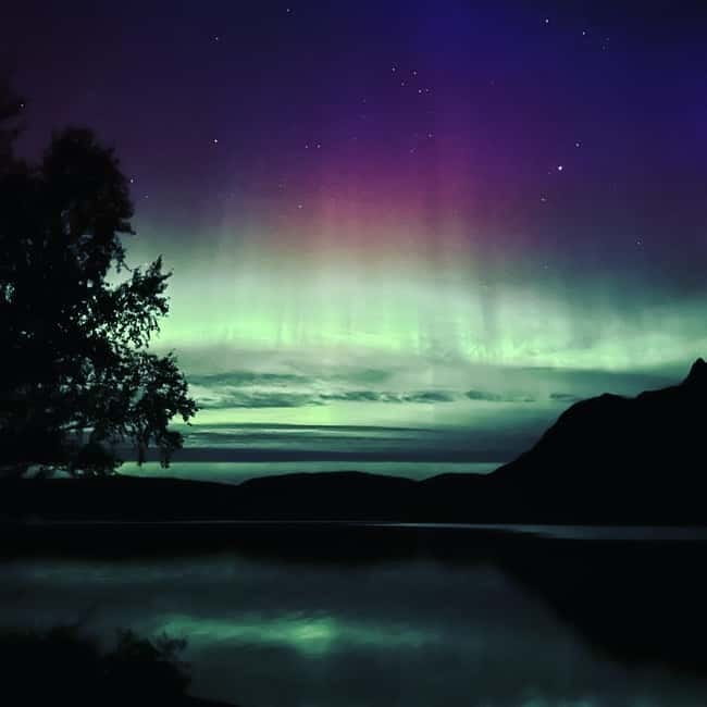 Harstad/Narvik/Tjeldsund: Northern Lights Sightseeing by Car - Daylight options: mountains, waterfalls, fishing, or a fire