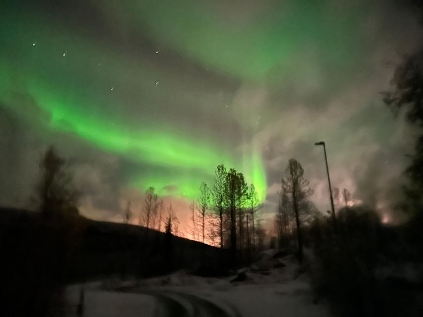 Harstad/Narvik/Tjeldsund: Northern Lights Sightseeing by Car - Searching the fjords after dark