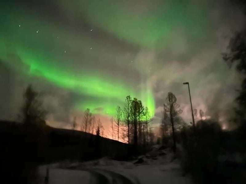 Harstad/Narvik/Tjeldsund: Northern Lights Sightseeing by Car - Wine, warmth, and the waiting game