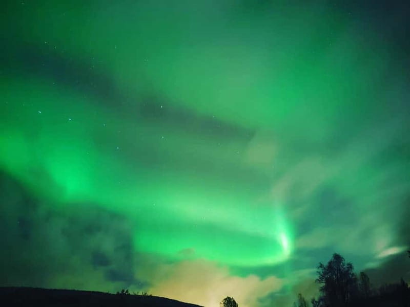 Harstad/Narvik/Tjeldsund: Northern Lights Sightseeing by Car - Camera help that can save your photos