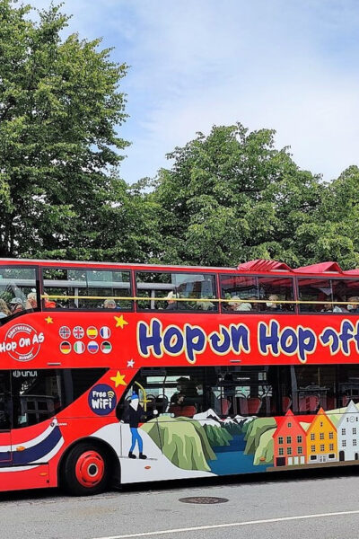 1-Day Hop-On Hop-Off Sightseeing Bus Ticket