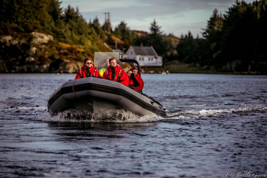 Haugesund: RIB Safari to the island communities - Weather, comfort, and the small print