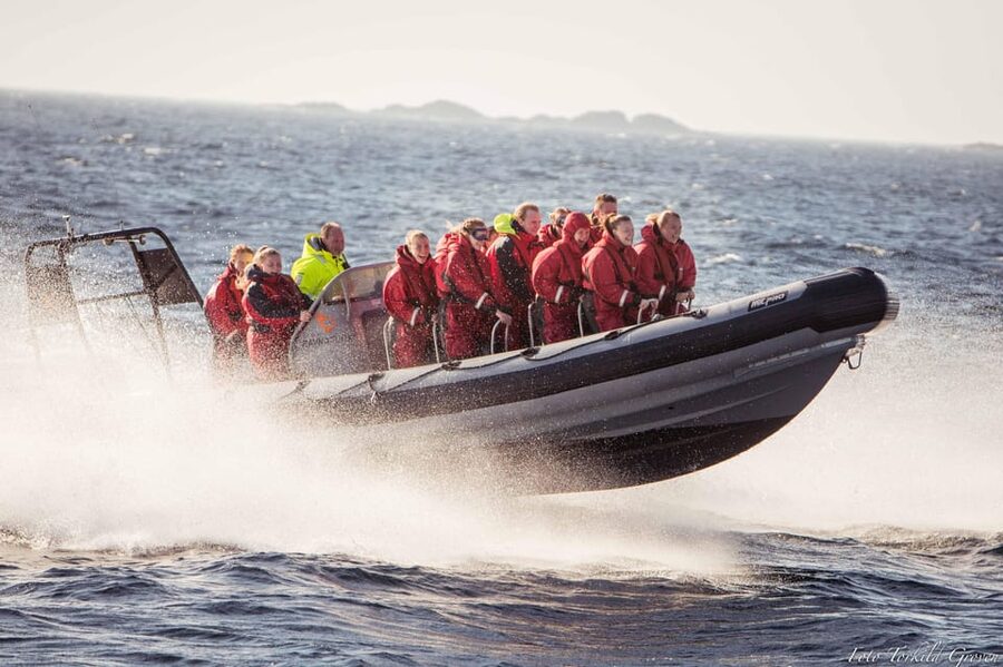Haugesund: RIB Safari to the island communities - Who will enjoy this Haugesund safari?