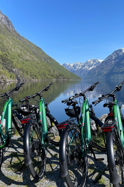 Hellesylt to Norangsdalen: Scenic E-Bike Tour - Key points to know before booking