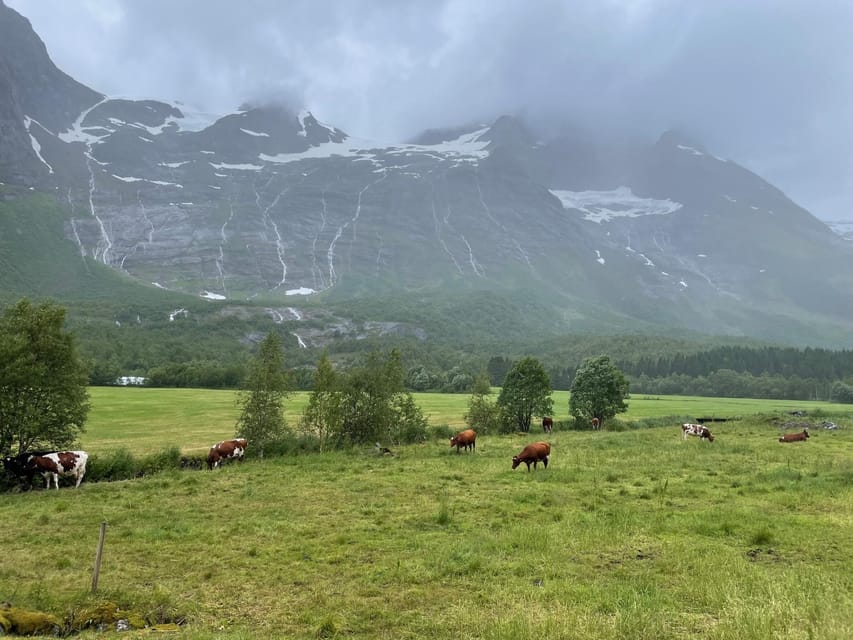 Hellesylt to Norangsdalen: Scenic E-Bike Tour - Returning to Hellesylt by e-bike