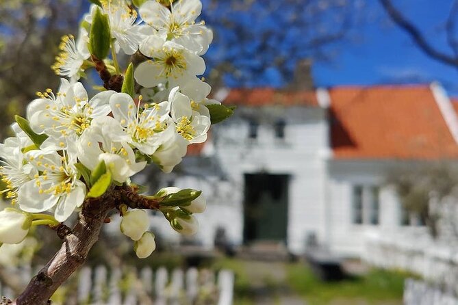 Highlights of the Region -City/Skudenes/Avaldsnes Guided Bustour - The tour at a glance