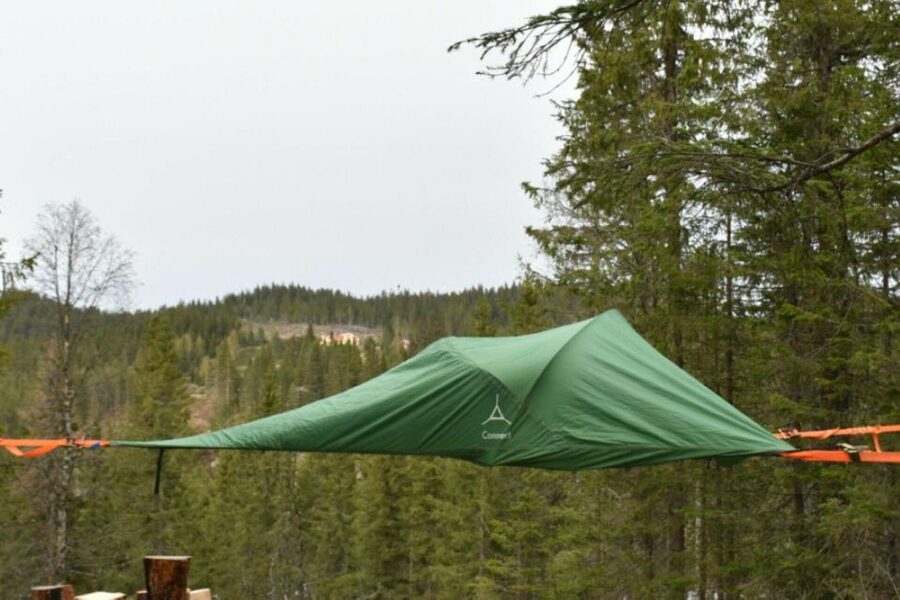 Hønefoss: 2-Day Moose Safari in Oslo's Wilderness - Key points to know before booking