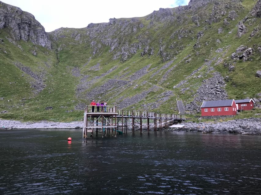 Honningsvåg: North Cape King Crab & Arctic Wildlife Safari - Nordvågen and the working fish factory