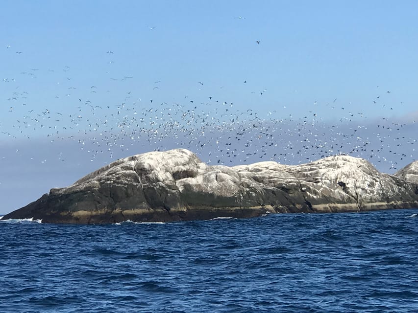 Honningsvåg: North Cape King Crab & Arctic Wildlife Safari - The final stop near Honningsvåg Harbour
