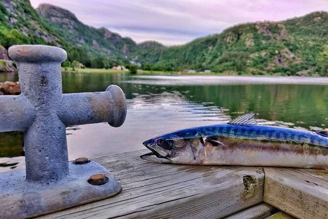 Inshore fishing in the Drangefjord - Key things to know before you cast