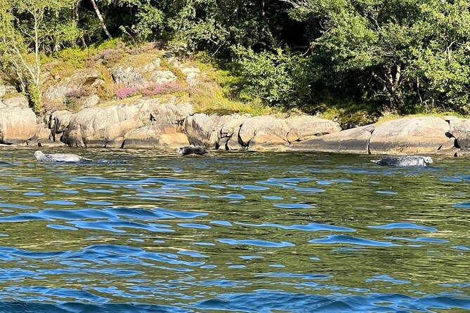Inshore fishing in the Drangefjord - Learning pots, troll nets and local techniques