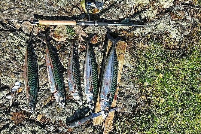 Inshore fishing in the Drangefjord - Practical planning for your two and a half hours