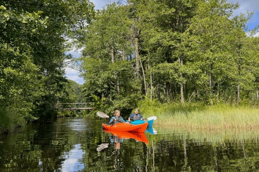 Kristiansand: Otra River Kayaking Adventure - Who should book, and who should skip it?