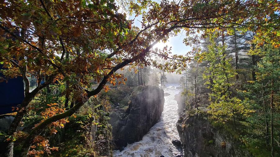 Kristiansand: Wild Salmon Center Guided Tour with Bus Ride - Why this salmon tour is worth your half-day