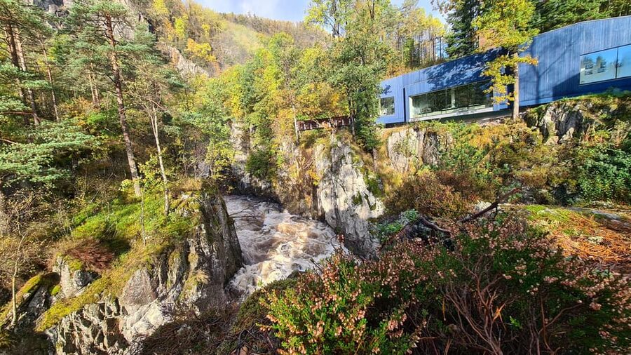 Kristiansand: Wild Salmon Center Guided Tour with Bus Ride - Understanding the value of $145