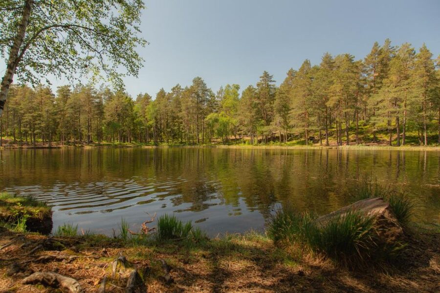 Lake walk and campfire - Learning the Norwegian outdoor routine