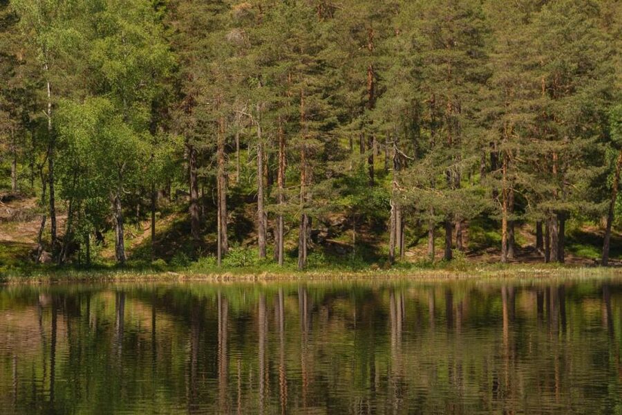 Lake walk and campfire - Should you book the Lake Walk and Campfire?