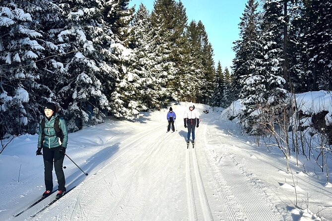 Learn Nordic Skiing - Private Class with Professional Instructor - Starting at Sognsvann, Oslo’s ski doorway