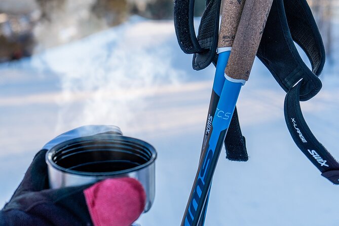 Learn Nordic Skiing - Private Class with Professional Instructor - Moving from basic drills into the snowy forest
