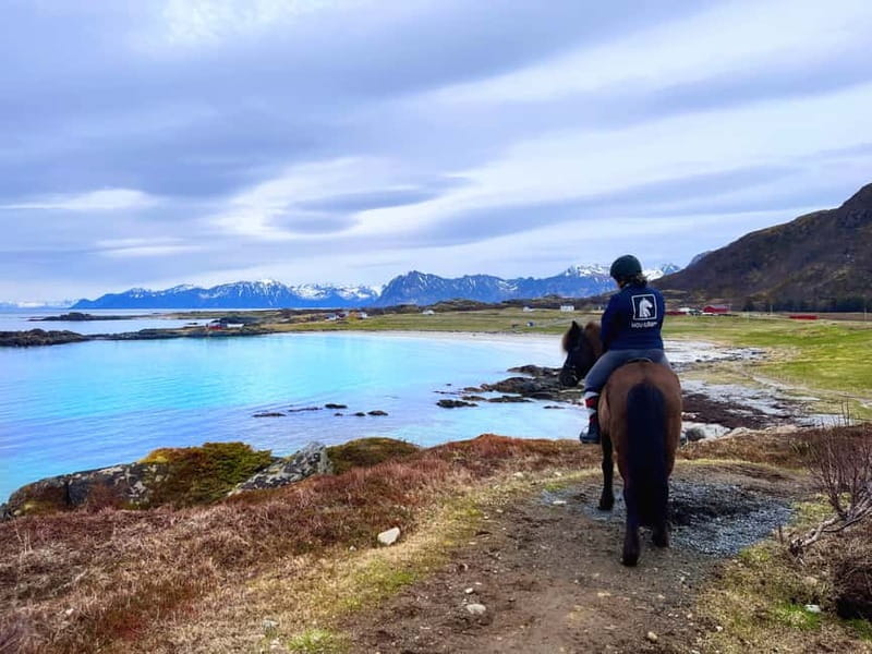 Lofoten: Guided Horse Riding Tour Over Hov and Hovsund - Starting at Hov Gård on Gimsøya