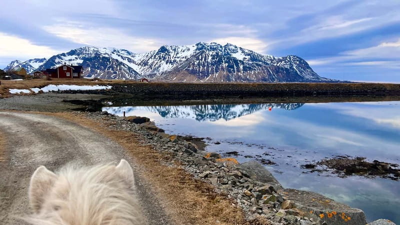 Lofoten: Guided Horse Riding Tour Over Hov and Hovsund - Getting comfortable with an Icelandic horse