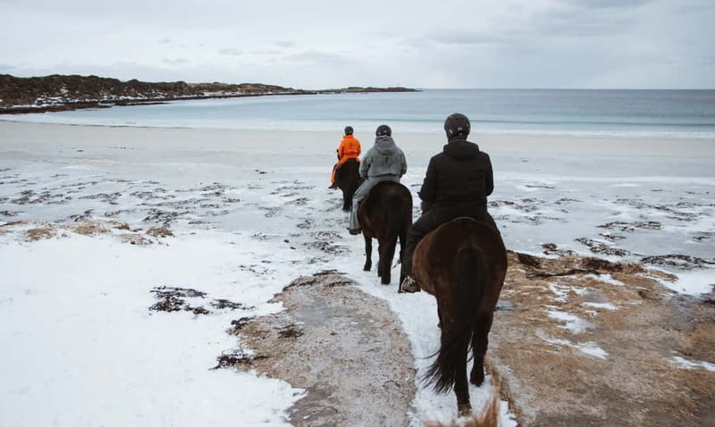 Lofoten: Guided Horse Riding Tour Over Hov and Hovsund - Is $126 a fair price?