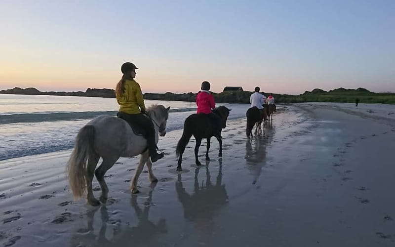 Lofoten: Guided Horse Riding Tour Over Hov and Hovsund - Who will enjoy this ride most?
