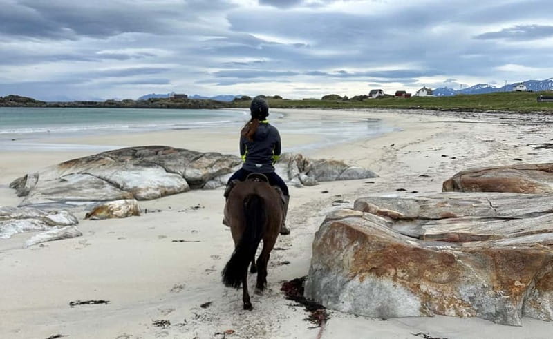 Lofoten: Guided Horse Riding Tour Over Hov and Hovsund - Practical clothing and comfort advice