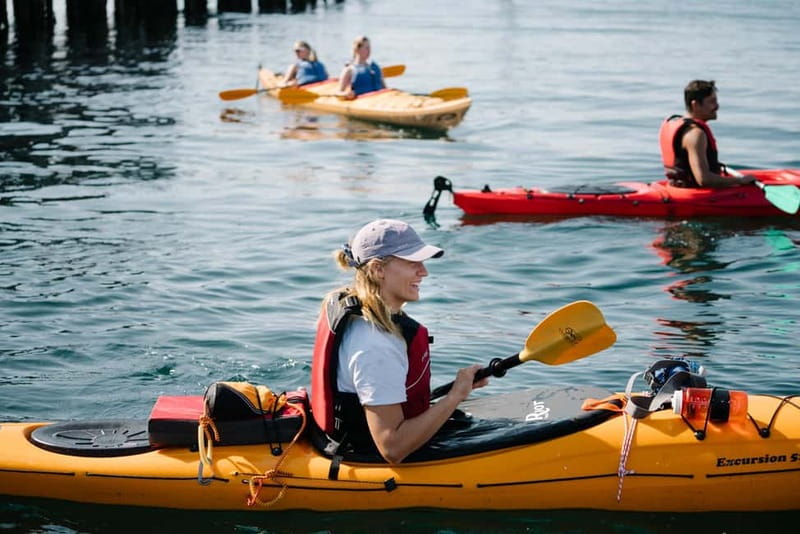 Lofoten: Guided Kayak Experience - Why kayaking suits Lofoten so well