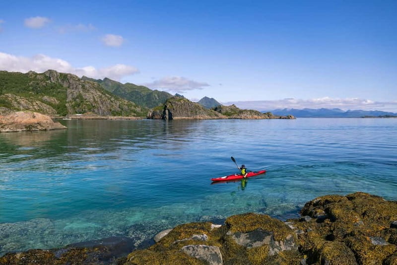 Lofoten: Guided Kayak Experience - Is $83 a fair price?