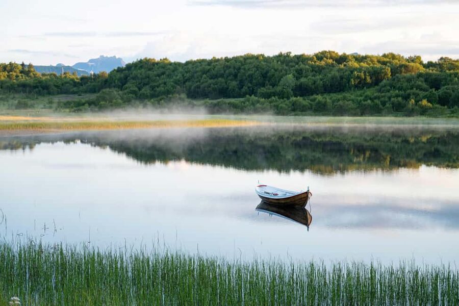 Lofoten: Half-Day Guided Tour with Photo Stops - Key points to know before booking