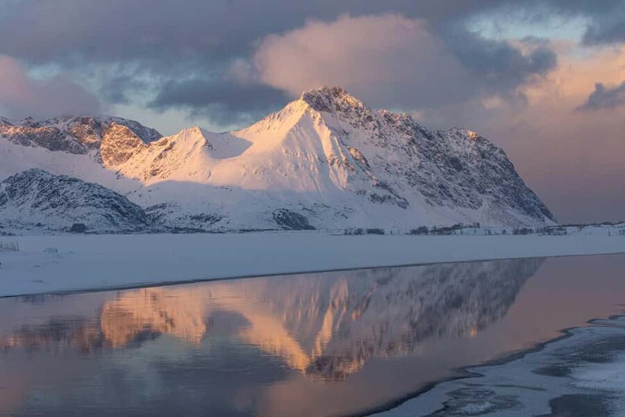 Lofoten: Half-Day Guided Tour with Photo Stops - What the van and group size mean for comfort