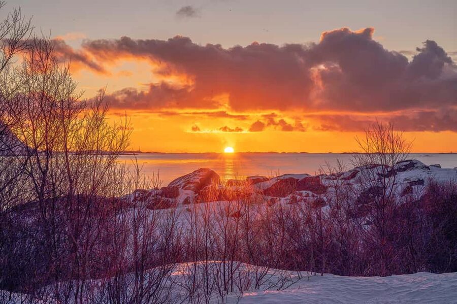Lofoten: Half-Day Guided Tour with Photo Stops - Is the tour good value?