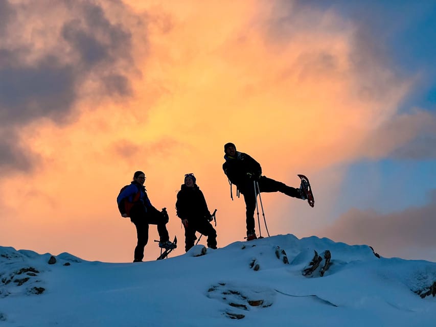 Lofoten: Half Day Snowshoe Tour - Key points to know before booking