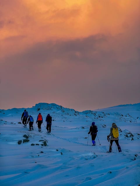 Lofoten: Half Day Snowshoe Tour - Walking through Eggum’s snowy hills