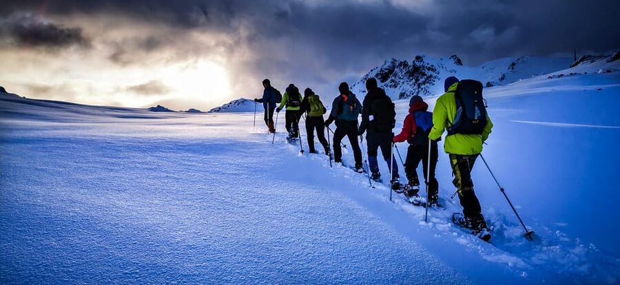 Lofoten: Half Day Snowshoe Tour - Who will enjoy this snowshoe tour most?