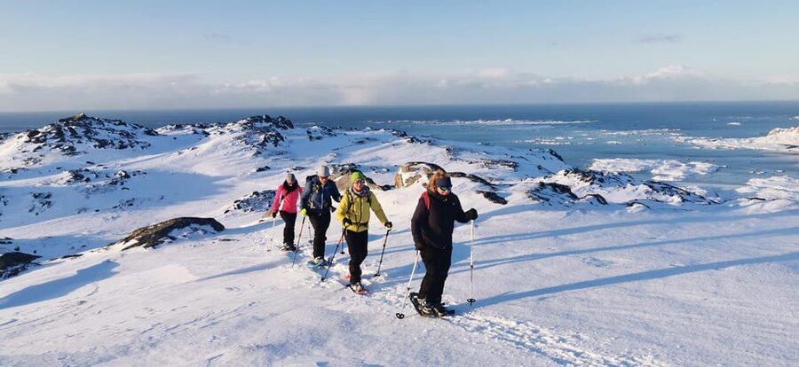 Lofoten: Half Day Snowshoe Tour - Should you book the Lofoten snowshoe tour?