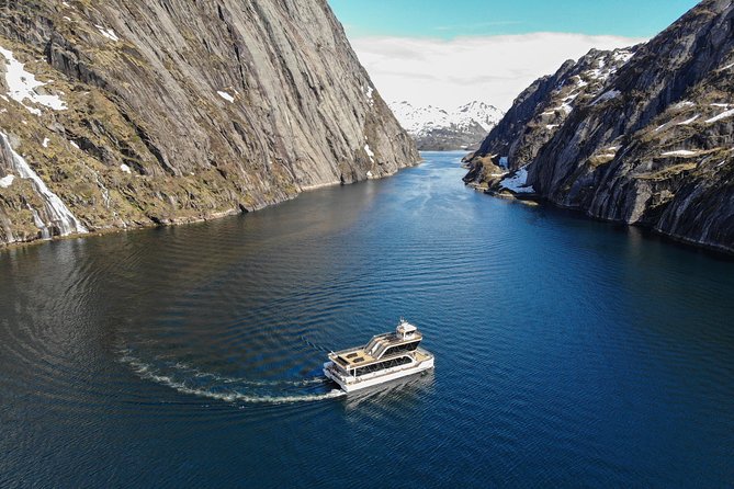 Lofoten Island: Silent Trollfjord Cruise from Svolvær - What the underwater drone really adds