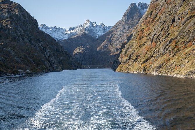 Lofoten Island: Silent Trollfjord Cruise from Svolvær - Price, comfort, and the question of value