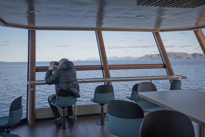 Lofoten Island: Silent Trollfjord Cruise from Svolvær - Parking, access, and what to bring