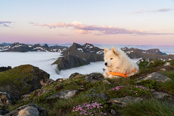 Lofoten Islands: Hiking Into the Wilderness - Why the small group makes a difference
