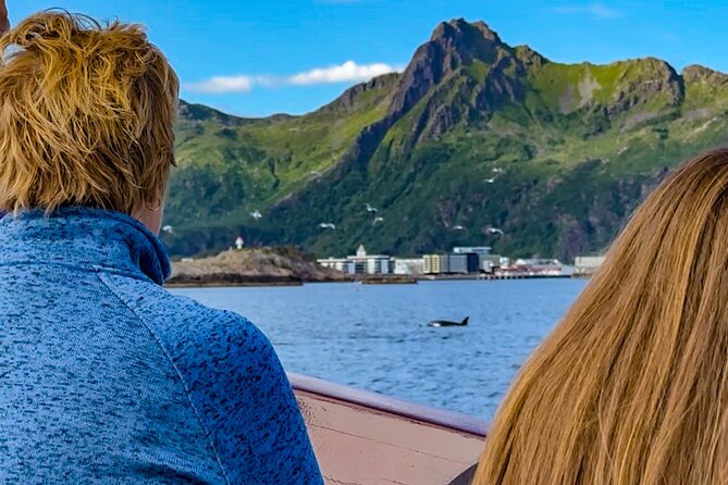 Lofoten Islands Private Midnight Sun Yacht Cruise from Svolvær - Key points to know before you book