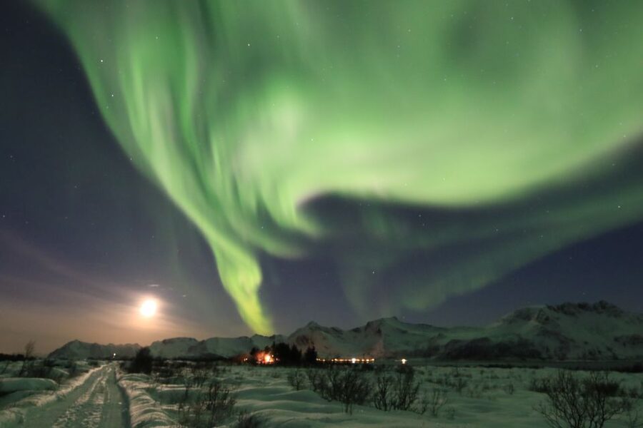 Lofoten: Northern Lights Tour with Photographer - Who should book this experience?