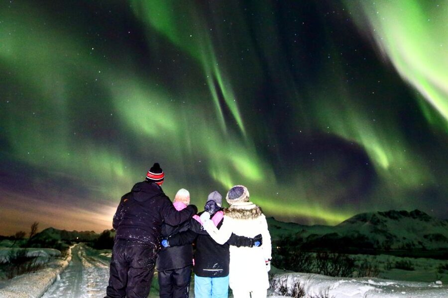 Lofoten: Northern Lights Tour with Photographer - Booking details that affect your decision
