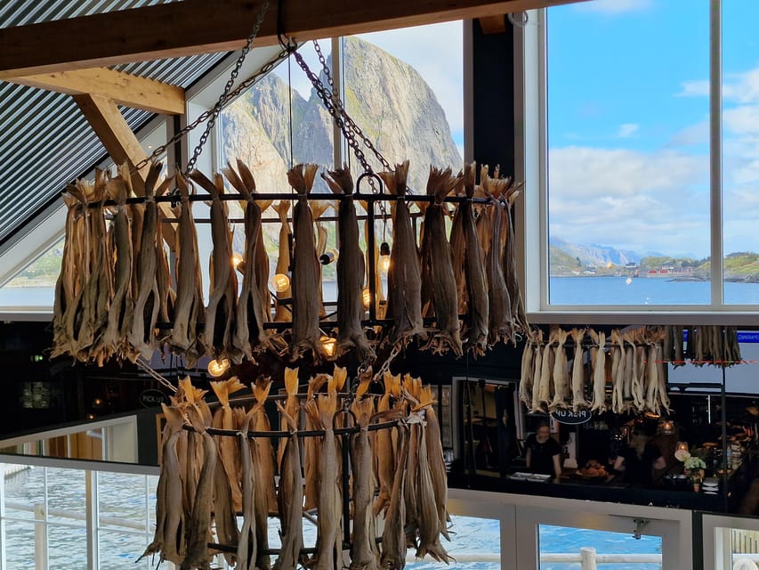 Lofoten: Reine, Hamnøy, and Skariskøya Photo Tour - Wildlife and unplanned moments
