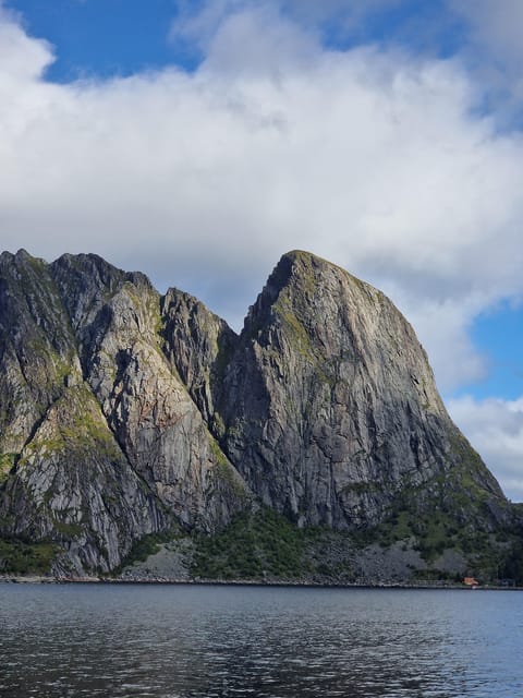 Lofoten: Reine, Hamnøy, and Skariskøya Photo Tour - What the guide adds to the experience