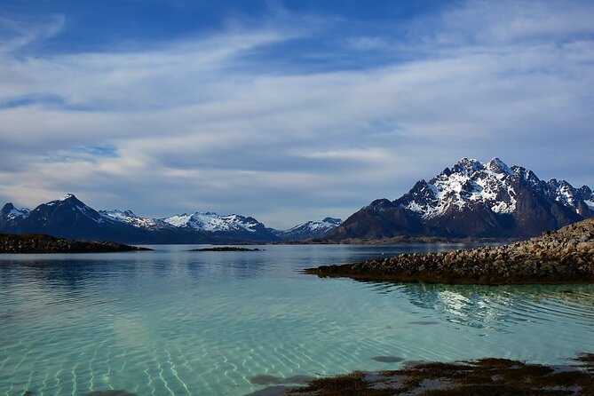 Lofoten RIB Sea Eagle Safari and Trollfjord Cruise - Is $128.94 a fair price?