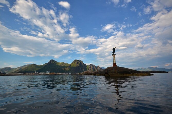 Lofoten RIB Sea Eagle Safari and Trollfjord Cruise - Who will enjoy this Trollfjord safari?