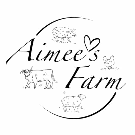 Lofoten (Stamsund and Leknes): Aimees Farm Experience - Meeting the Highland Cattle and Free-Range Pigs
